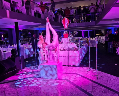 Cellistin mit Artistin bei Firmenevent Cellistin mit Artistin buchen für Gästeempfang, Gala, Messe, Hochzeitsfeier, Veranstaltung