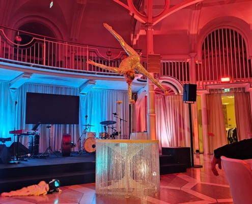 Handstand Artistin buchen für Firmenfeier, Veranstaltung, Preisverleihung, Sportlerball